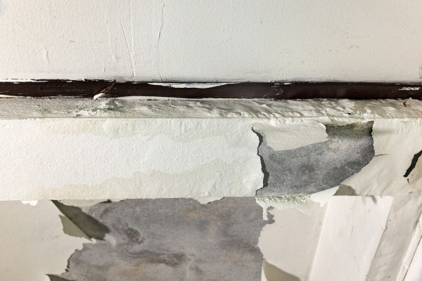Cost of Porch Leak Repair in Petaluma